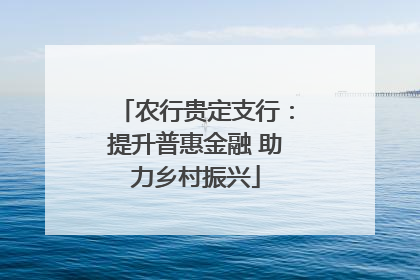 农行贵定支行：提升普惠金融 助力乡村振兴